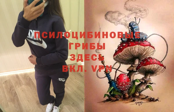 прущая мука Алзамай