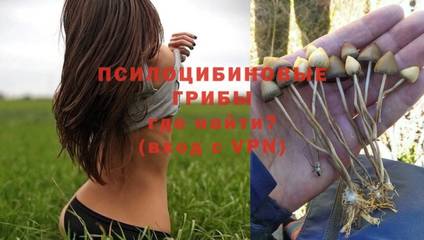трава Алексин