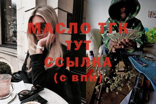 индика Осташков