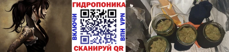 Шишки марихуана Bruce Banner  магазин продажи наркотиков  OMG зеркало  это официальный сайт  Николаевск 